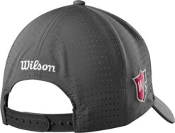 Wilson Performance Mesh Hat -Green And Swing Shop PerformanceMesh 2023 Gray 1